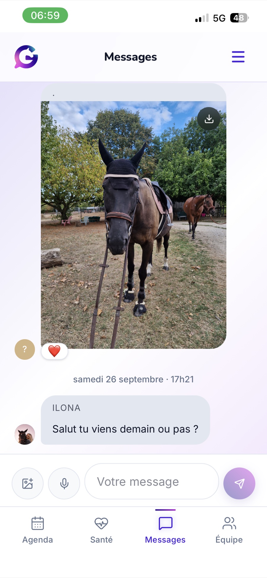 GaloPlan Messages screen: the horse's team chat, with photos and reactions